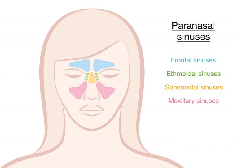 why-does-my-whole-head-hurt-when-my-sinuses-are-congested